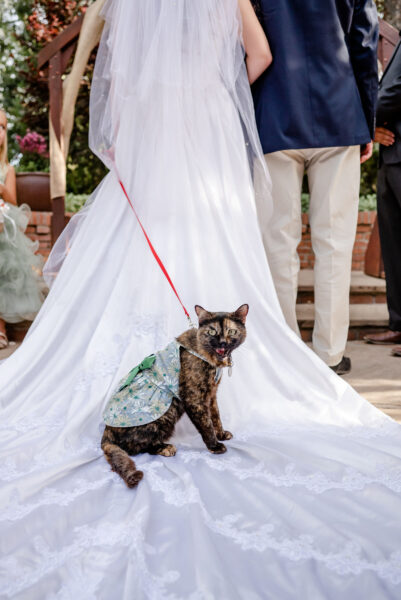 Photograph of a wedding ceremony