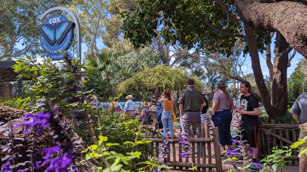 Photograph of guests
