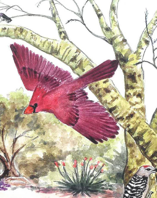 Drawing of a bird