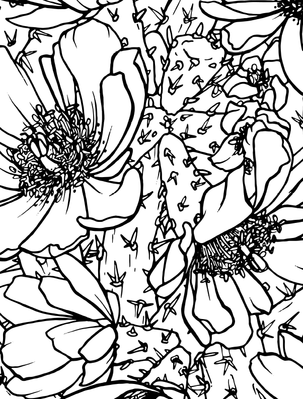 Drawing of flowers